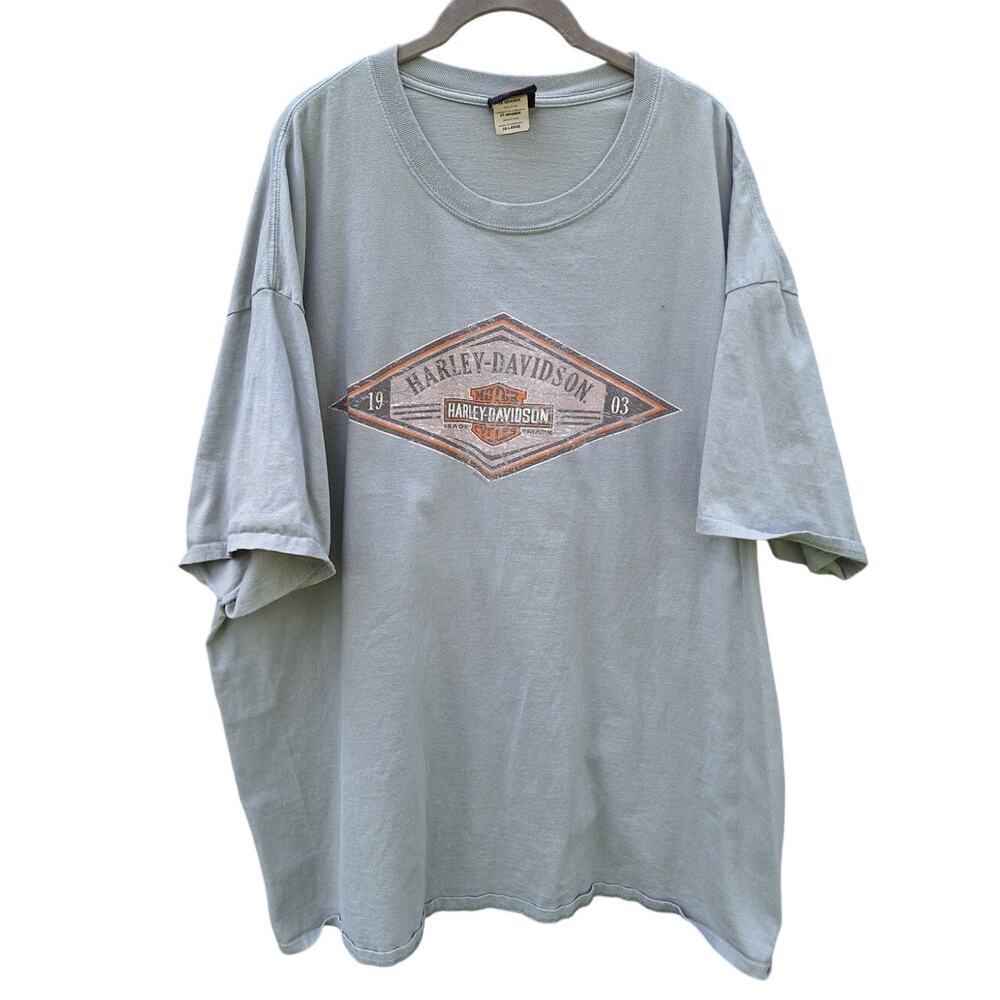 Harley-davidson tarentum PA motorcycle biker graphic print tee faded distressed